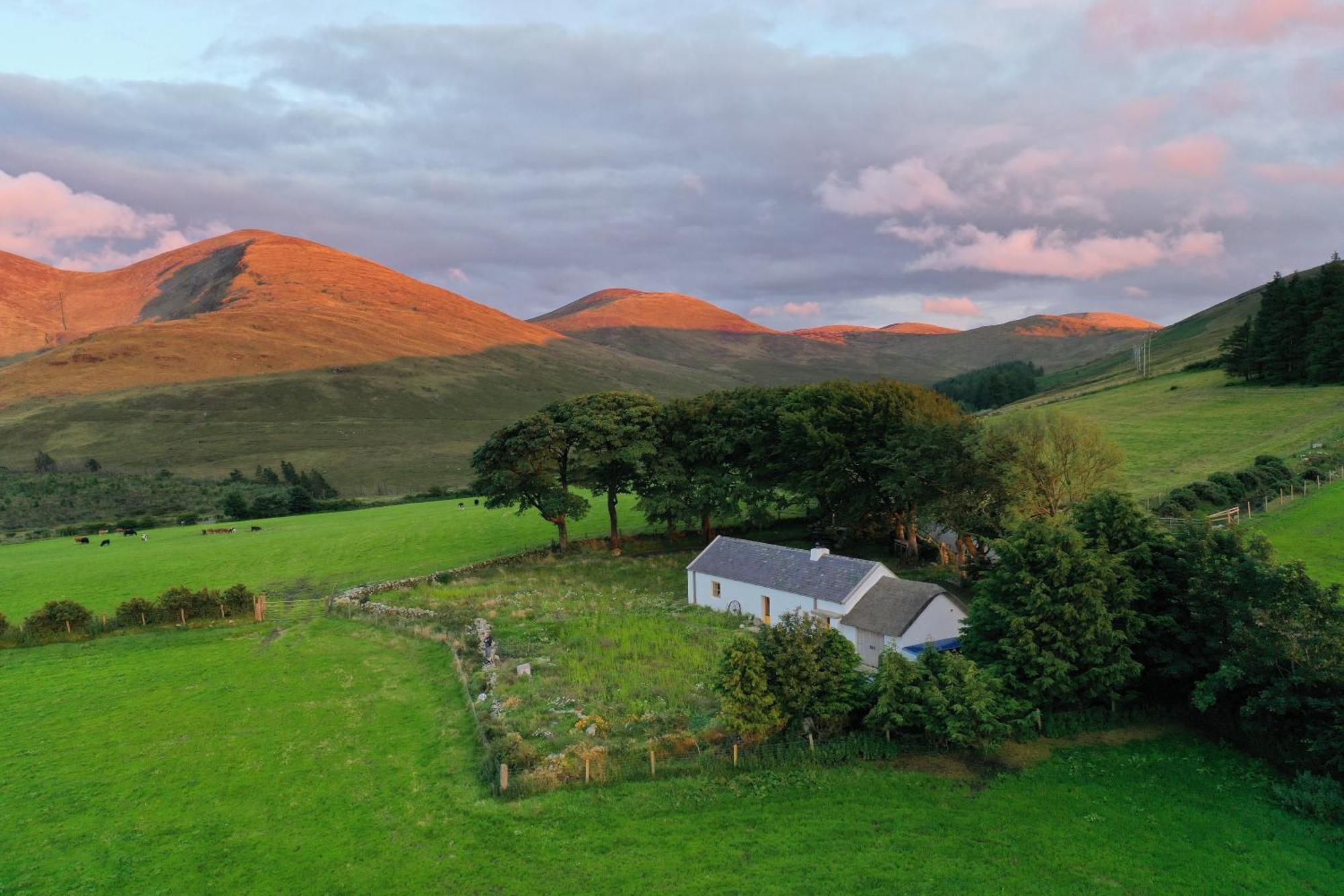 Thistle Thatch Cottage And Hot Tub - Mourne Mountains Νιούκασλ Εξωτερικό φωτογραφία